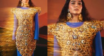 ‘Dubai Dress’ Worth ₹9.65 Crores Sets Guinness World Record With 10 Kg of Gold | Watch