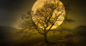 Supermoon October 2025: When, Where & How to Watch | Stunning Lunar Event