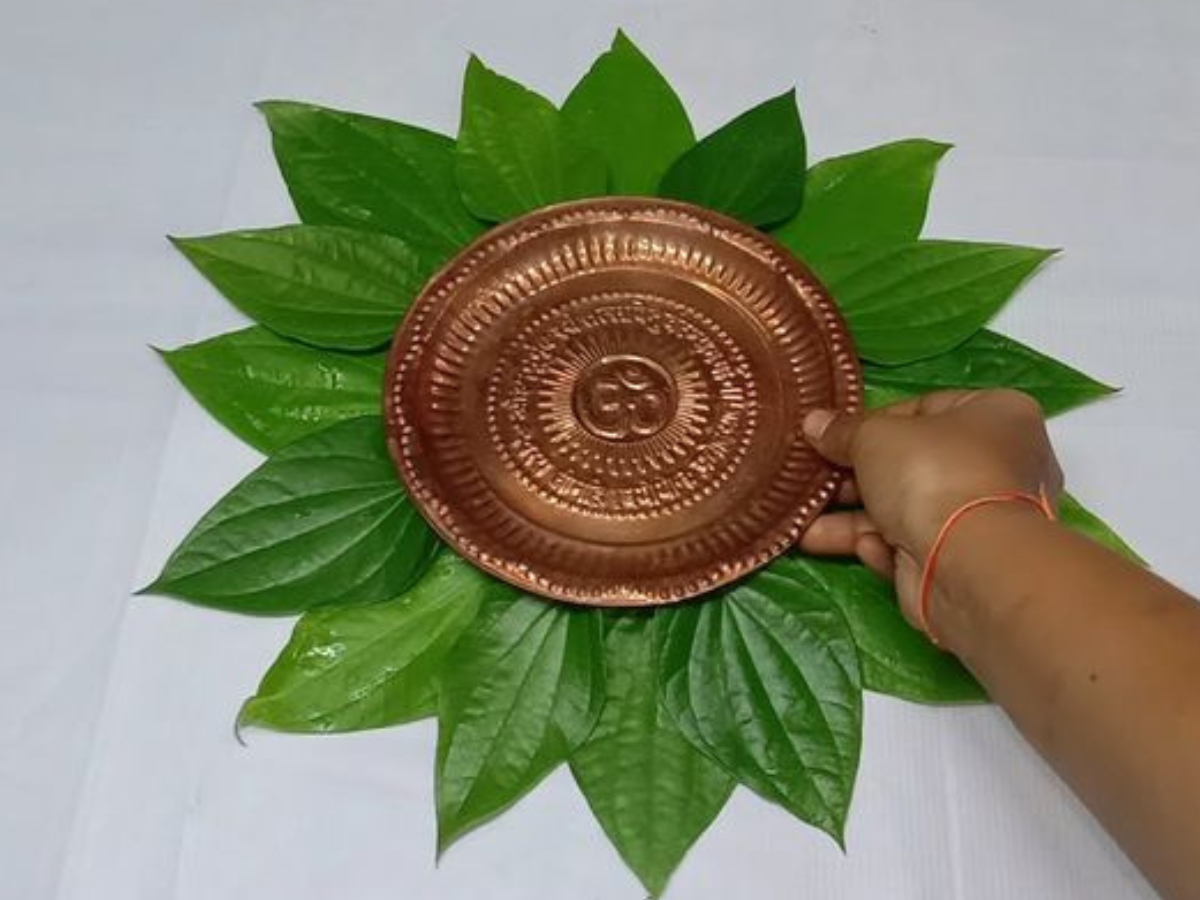 Natural Leaf Plates - Photo Gallery