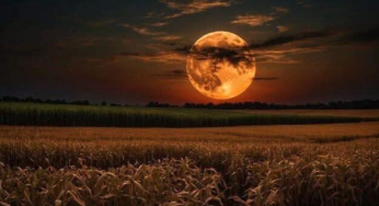 Supermoon 2025: When & Where to Watch – Will It Be Visible in India?