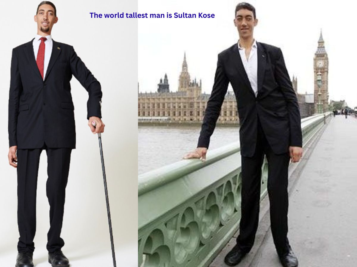 The Tallest Man in the World: Meet Sultan Kösen, His Record-Breaking Height, Wife & Family