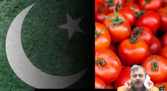 Tauba-tauba.. Tomato Prices in the ‘Meme Country’ Pakistan Will Shock You!