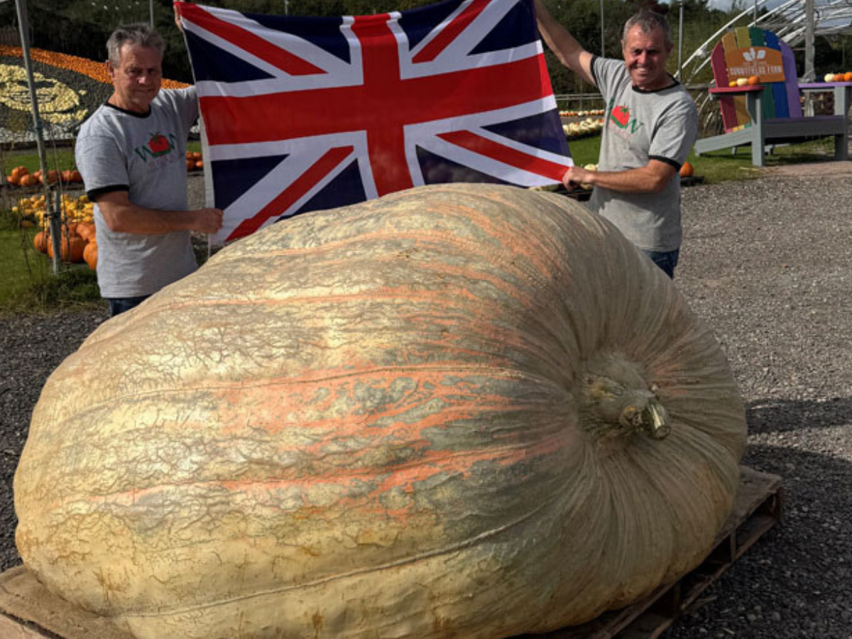 World’s Heaviest Pumpkin: UK’s Paton Twins Smash Global Record with ‘Muggle’