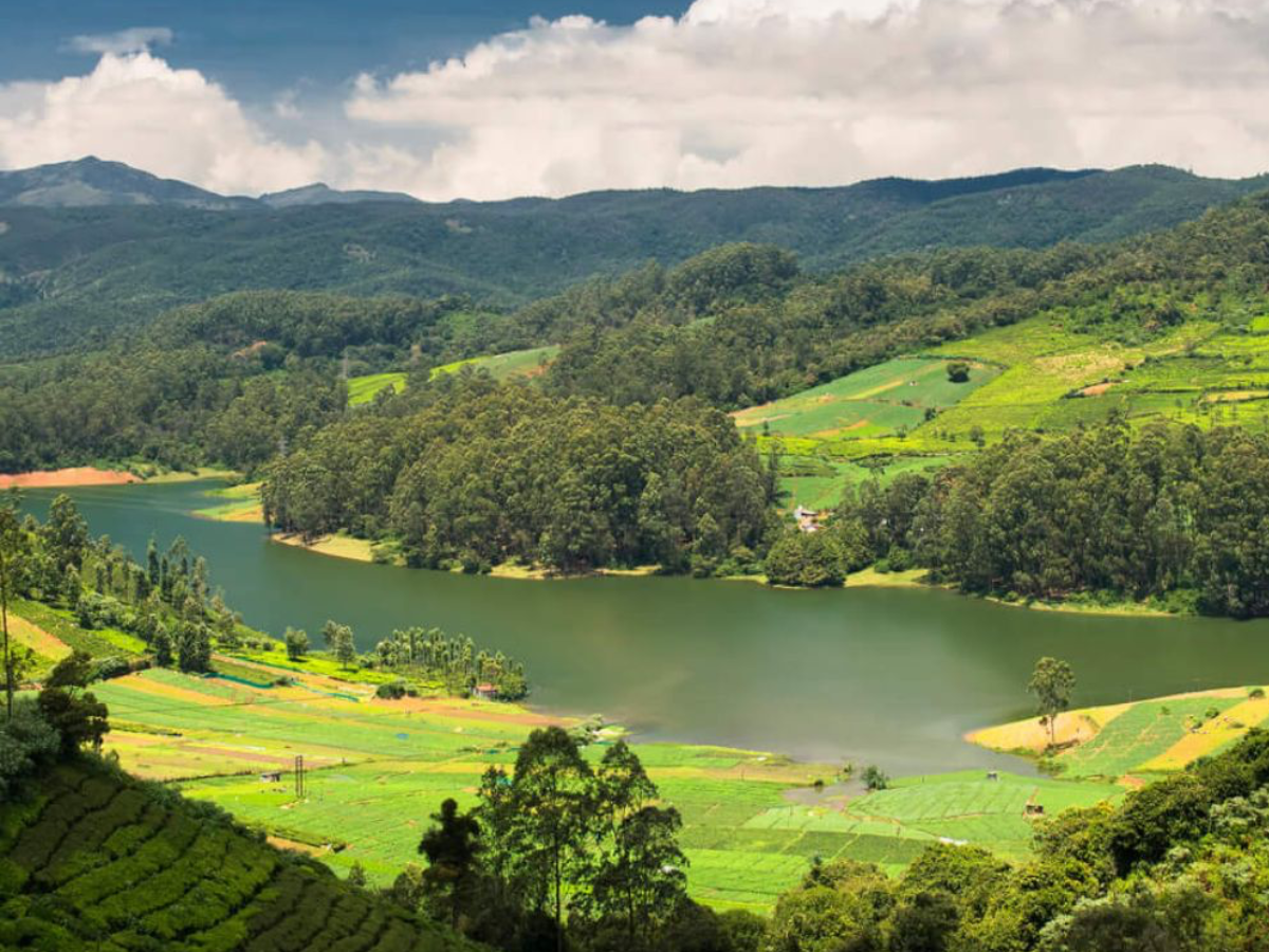 Why an NRI Couple With Rs 6 Crore Net Worth Plans to Leave the US & Begin Again in South India After H-1B Strain