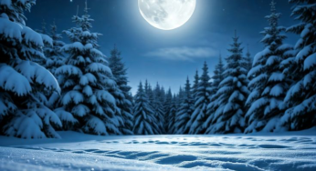 December Night Sky 2025: Major Moon Events & Planet Viewing Guide