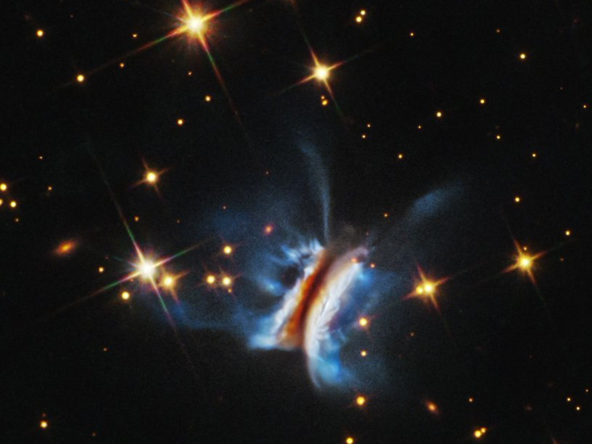 NASA’s Hubble Discovers 600 Billion km Planet-Forming Disk ‘Dracula’s Chivito’ Resembling Early Solar System