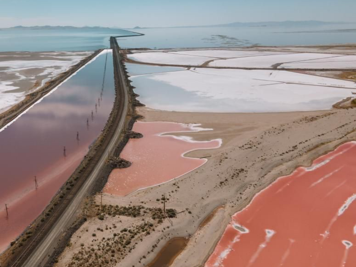 Scientists Discover New Worm Species Found Only in Utah’s Great Salt Lake