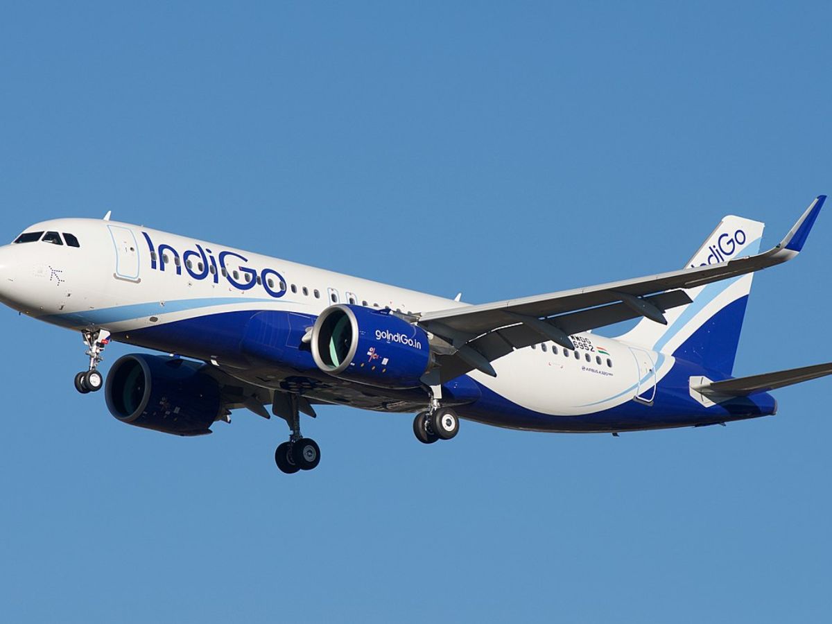 IndiGo Flight Crisis: Board Hires Expert Panel to Assess Flight Cancellations