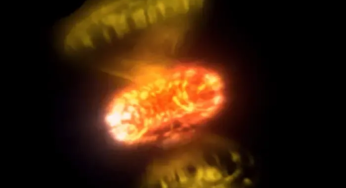 Astronomers Reveal Explosive Death of Two Suns: Stunning Novae & Gamma-Ray Emissions
