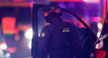 Bondi Beach Terror Attack: 12 Dead, 29 Hospitalized, Police Investigate Suspects in Sydney Shooting