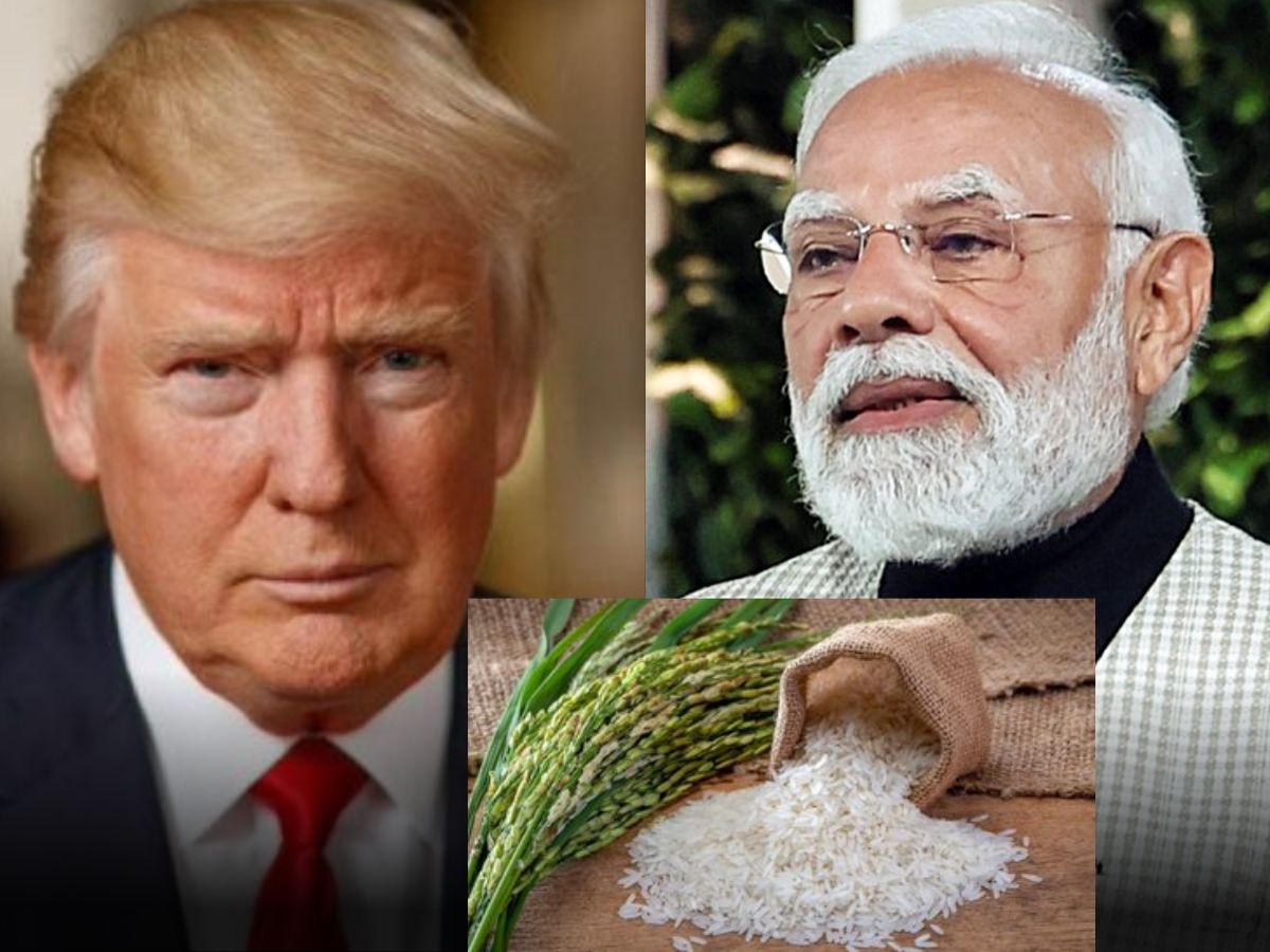 Trump’s Tariff Targets Indian Rice, Accuses India of ‘Dumping’; Kohinoor Stocks Fall Nearly 10%