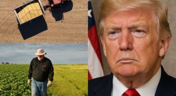 What’s in the $12 Billion Aid Package Announced by Trump? Farmers to Get Relief After Falling Crop Prices