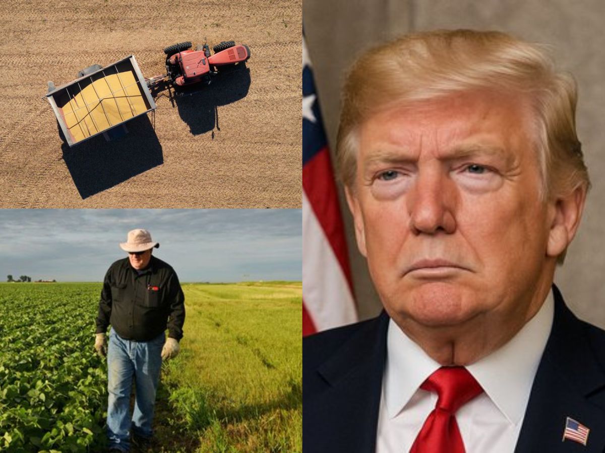 What’s in the $12 Billion Aid Package Announced by Trump? Farmers to Get Relief After Falling Crop Prices