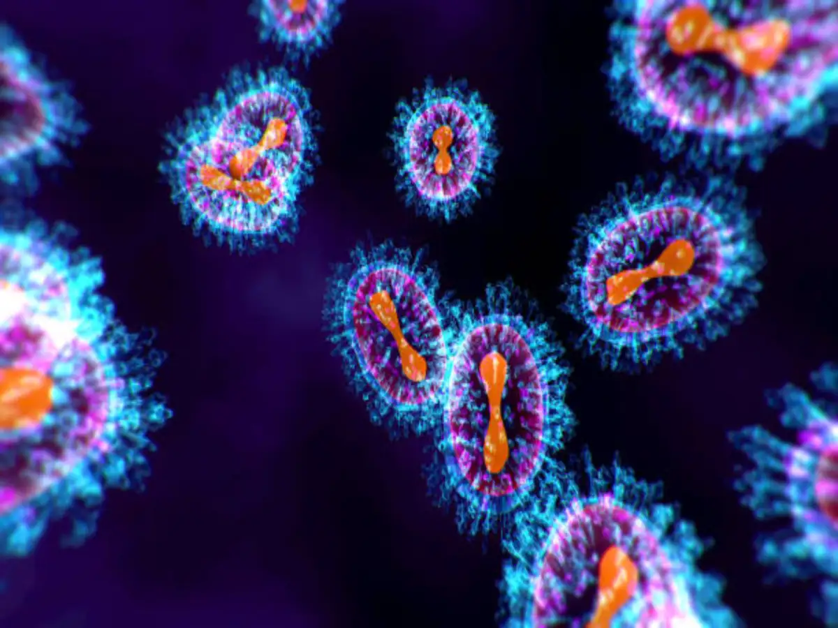 Nipah virus outbreak puts Asia on alert after fatal cases in India