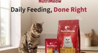 NutriMeow Enters the Indian Cat Food Market to Challenge the Gap Between Quality and Affordable Nutrition