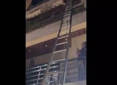 Three Dogs Die, Several Rescued in Ghaziabad Apartment Fire