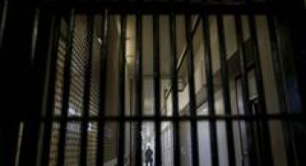 Tech CEO held in US for supplying restricted equipment to Iranian nuclear and military agencies