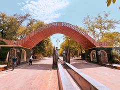 MP: Barkatullah University to be renamed as Vagdevi Bhojpal University; Varsity's executive council approves proposal