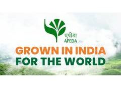APEDA facilitates first sea export of millet foods to New Zealand