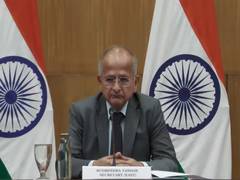 Perfect complementarity for India, Venezuela to work in energy sector: MEA