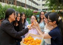 Over 10,000 girls qualified in JEE Advanced 2026 for first time, says IIT Roorkee