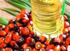 Consumer Affairs Ministry standardises edible oil pack sizes to improve price transparency