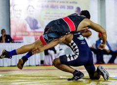 Indian wrestlers sign off Ulaanbaatar Open with 17 medals, get top 3 finish