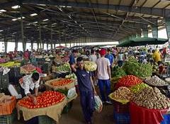 Retail inflation rises to 3.93% in May; food inflation climbs to 4.78%