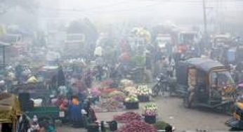 Inflation seen at 5% in FY27, 50-75 bps rate hikes likely as food and fuel risks build: Report