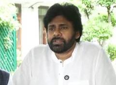 Andhra Pradesh seeks more Centre support for environment, tiger conservation: Pawan Kalyan