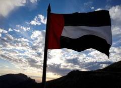 UAE provides support to contain Ebola outbreak