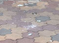 Jharkhand: SIT arrests two in connection with petrol bomb attack on RSS office in Ranchi