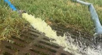 US National Park Service launches cleanup of Lincoln Memorial Reflecting Pool after algae outbreak