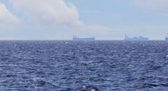 UN agency says major plan underway to evacuate 11,000 seafarers through Strait of Hormuz
