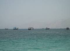 US, Iran to bury the hatchet in Doha, agree to solve Strait of Hormuz dispute: Reports