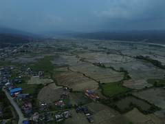 Mud, celebration, and dread: Nepali farmers mark National Paddy Day while bracing for El Nino-driven drought