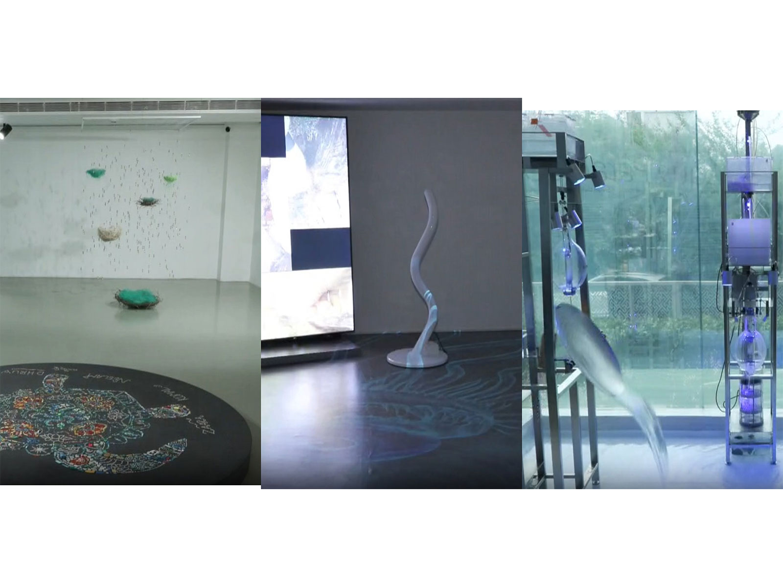 eco orot 's'Ocean Tears' and 'Plastic Mandala', Hyewon Kwon's'Liquid Vision', BOO Jihyun's 'Where is it going' (Photo/ANI) eco orot 's'Ocean Tears' and 'Plastic Mandala', Hyewon Kwon's'Liquid Vision', BOO Jihyun's 'Where is it going' (Photo/ANI)