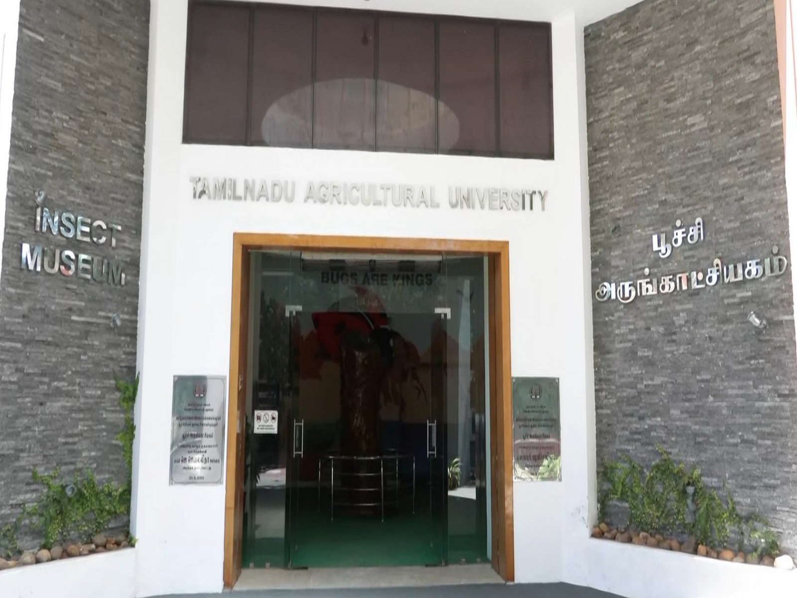 Insect Museum at Tamil Nadu Agricultural University (Photo/ANI) 