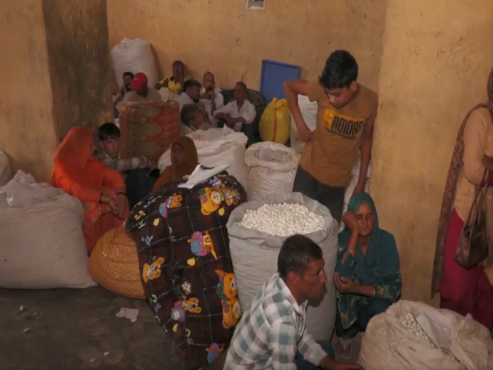 Visual of Cocoon Auction Market (Photo/ANI) Visual of Cocoon Auction Market (Photo/ANI)