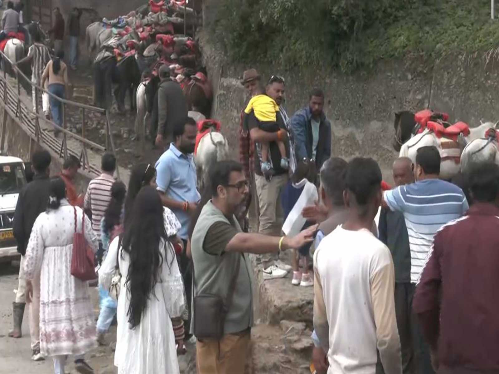Pleasant weather, scenic views draw tourist rush to Shimla and Kufri amid plains heatwave