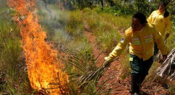 Brazil’s indigenous communities use controlled burns to prevent wildfires