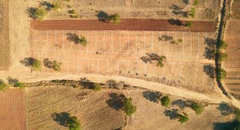 As Madhya Pradesh Expands Its Development Agenda, Government Shares CM Mohan Yadav’s Land Records