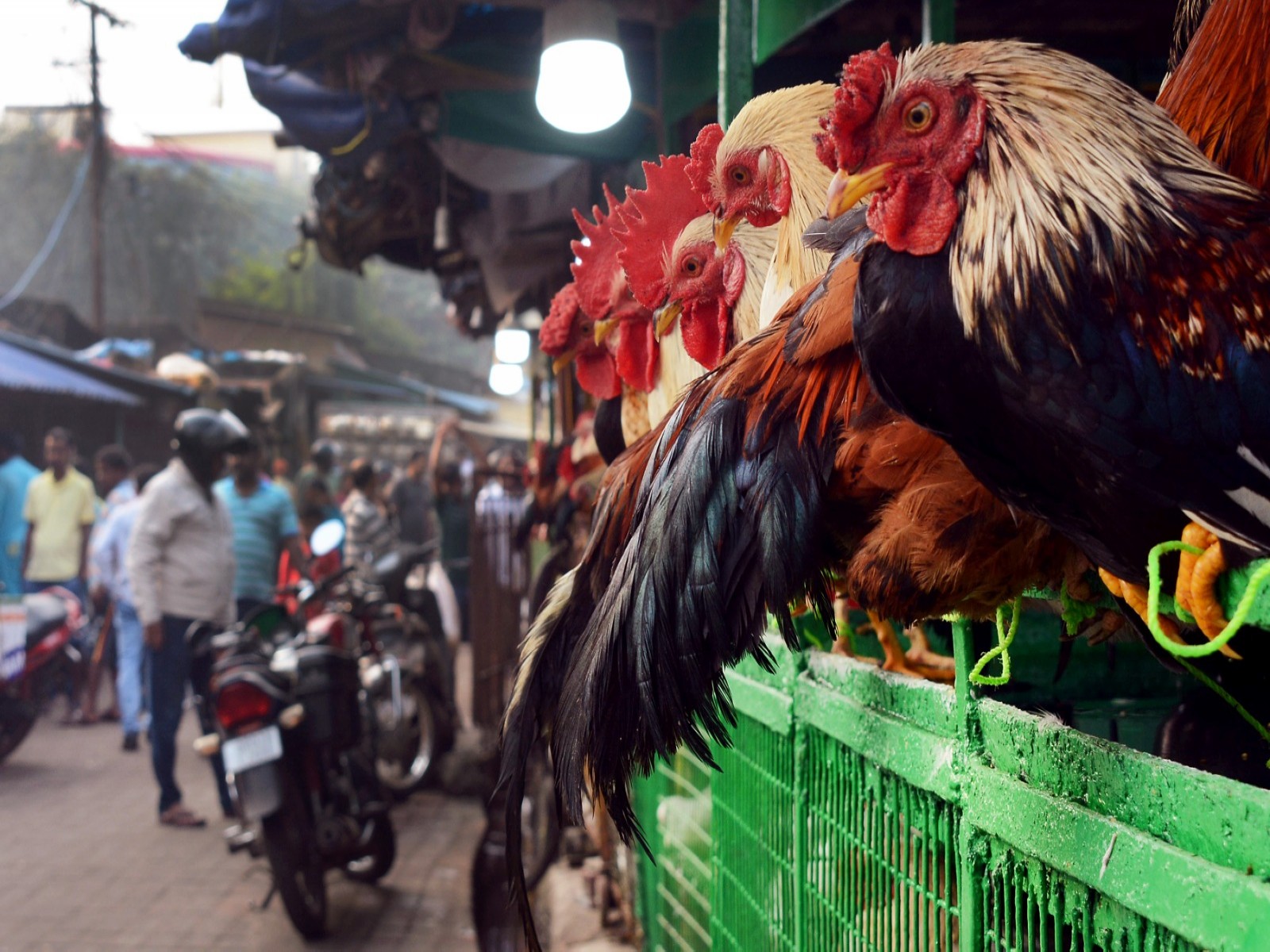 Varanasi civic body moves to relocate meat markets