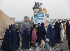 Poland nabs 54 migrants found inside cargo truck; 30 Pakistanis, 15 Afghans among them