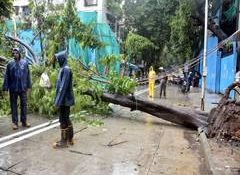 Schools in Mumbai Metropolitan Region to remain shut tomorrow as IMD issues orange alert for heavy rain