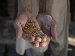 Pakistan's price controls deepen Karachi flour crisis as official rates clash with market reality