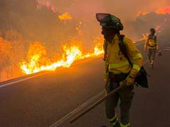 At least 11 dead, 19 unaccounted for, 600 displaced in southern Spain wildfire