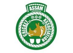 Assam Cricket Association announces players' pool for inaugural Assam Premier League auction