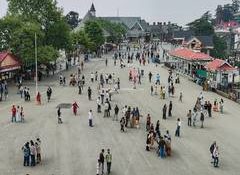 India's households miss global shift to financial assets: UBS