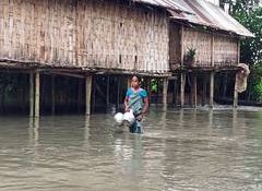 Assam flood fury: Over 37,000 people affected in six districts
